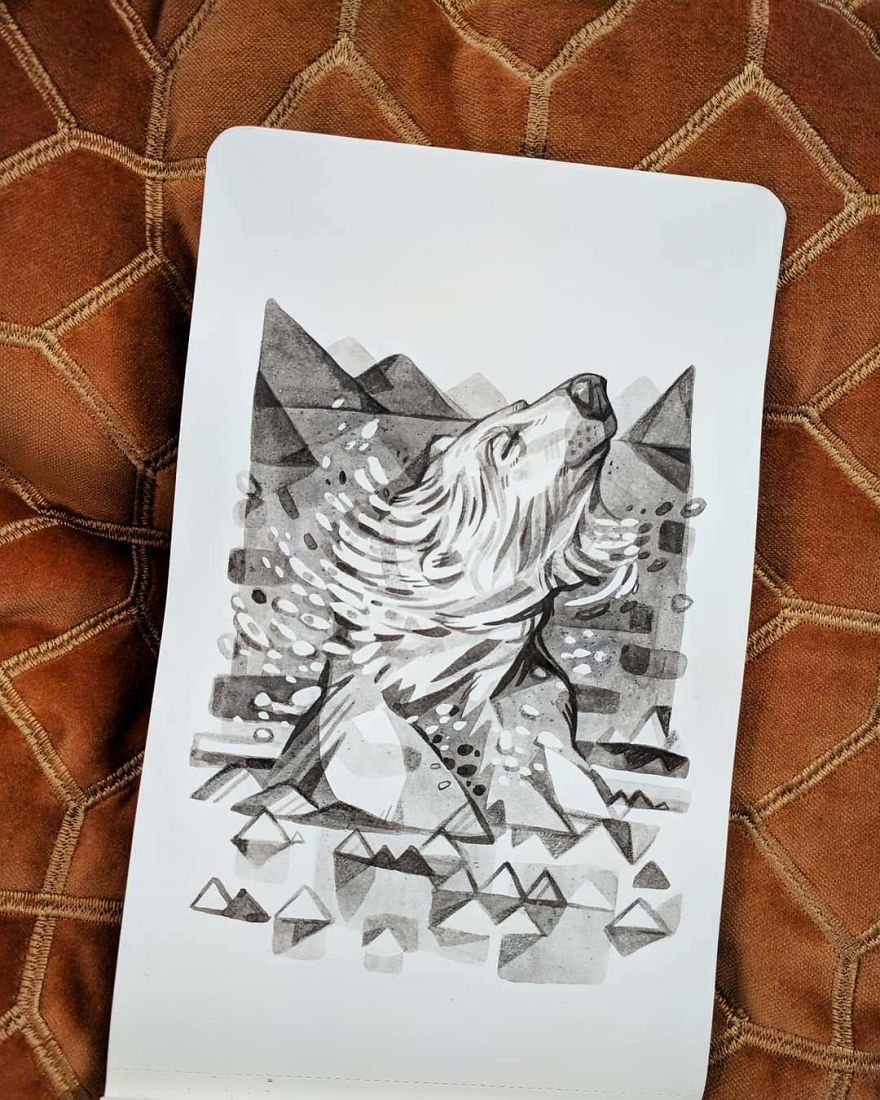 Pen And Ink Drawings For David Attenborough