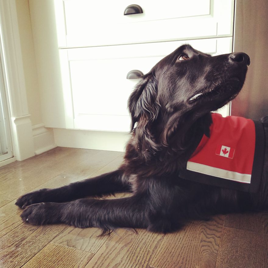 Respect The Vest Respect The Vest