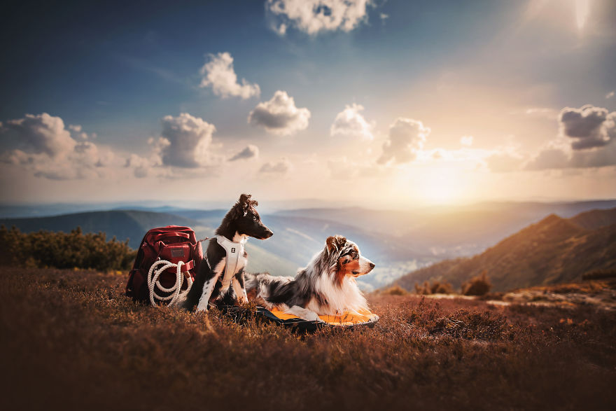 Mountain Crew - Adventures Of Two Girls And Four Dogs