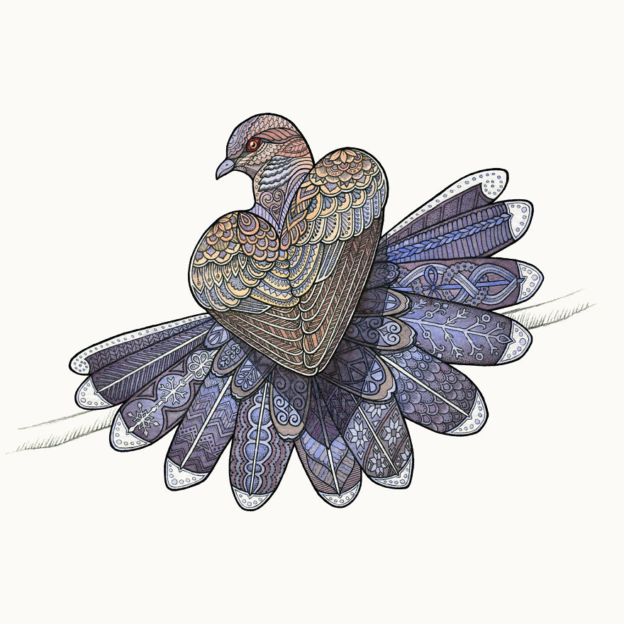 Turtle Dove