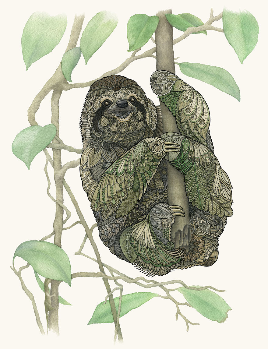 Sloth