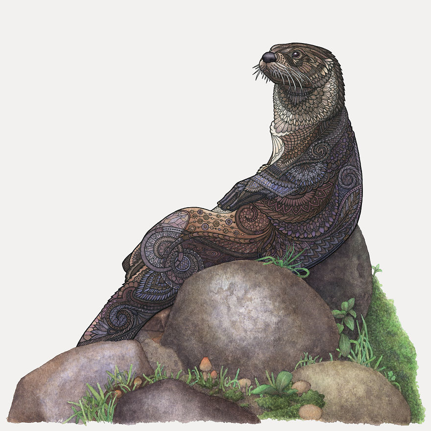 Majestic Otter