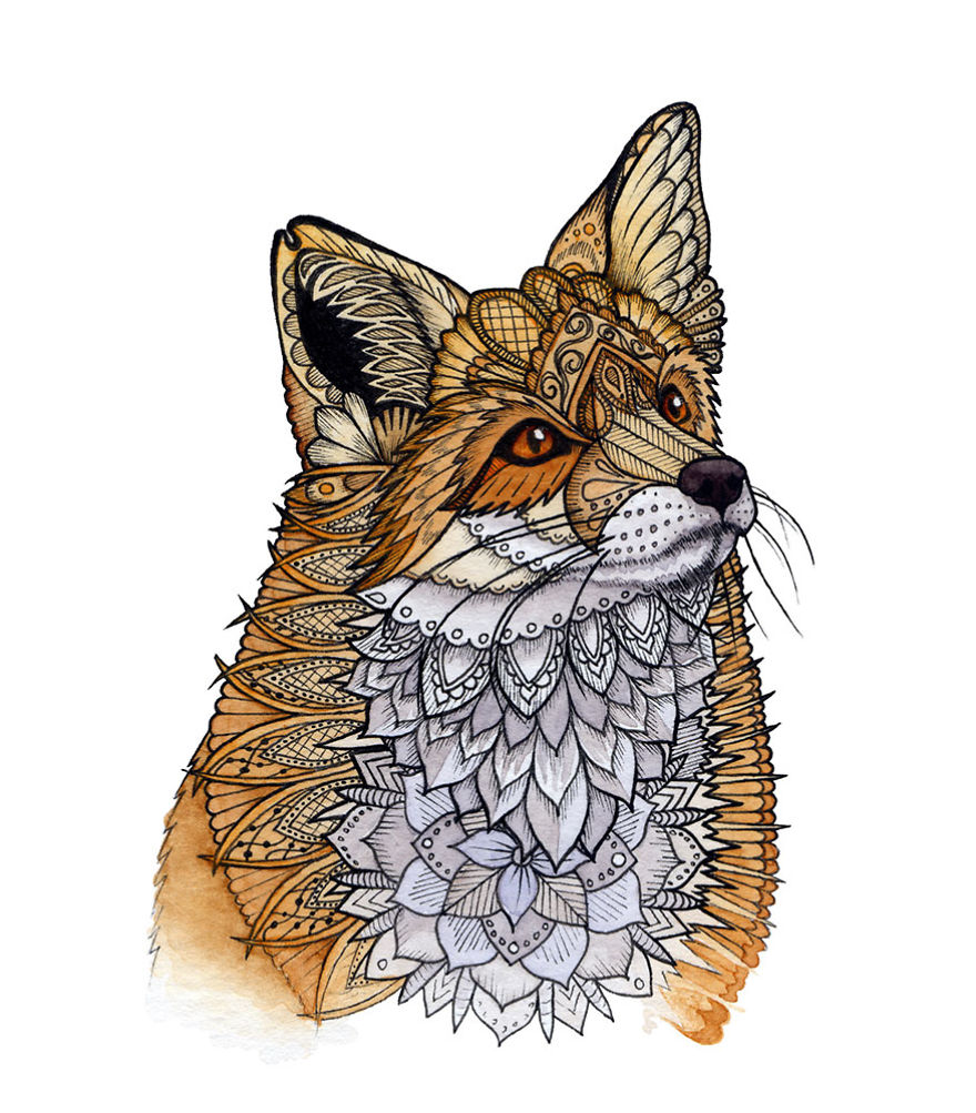 Fox Portrait