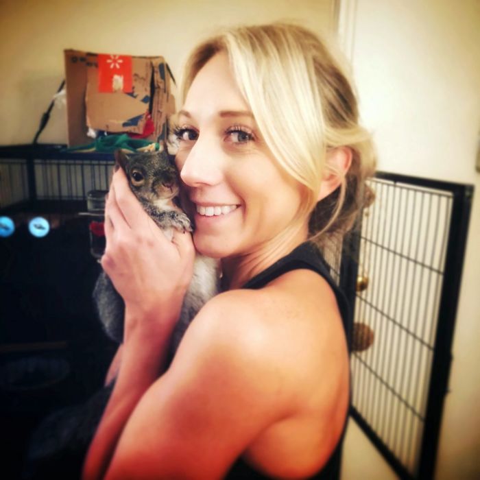 Man Finds Baby Squirrel On His Bed, And It Grows Up To Be The Most Adorable Pet Man Finds Baby Squirrel On His Bed, And It Grows Up To Be The Most Adorable Pet