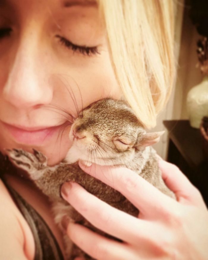 Man Finds Baby Squirrel On His Bed, And It Grows Up To Be The Most Adorable Pet Man Finds Baby Squirrel On His Bed, And It Grows Up To Be The Most Adorable Pet