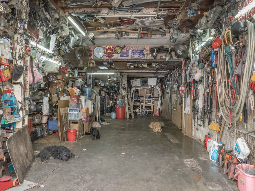 Photographer Does A Brilliant Project On The Dogs Guarding The Auto Thieves Workshops In Hong Kong