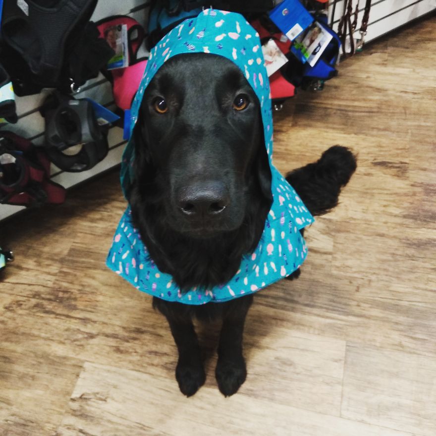 Respect The Vest Respect The Vest