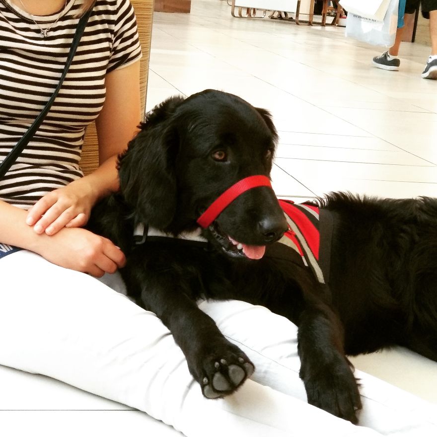 Respect The Vest Respect The Vest