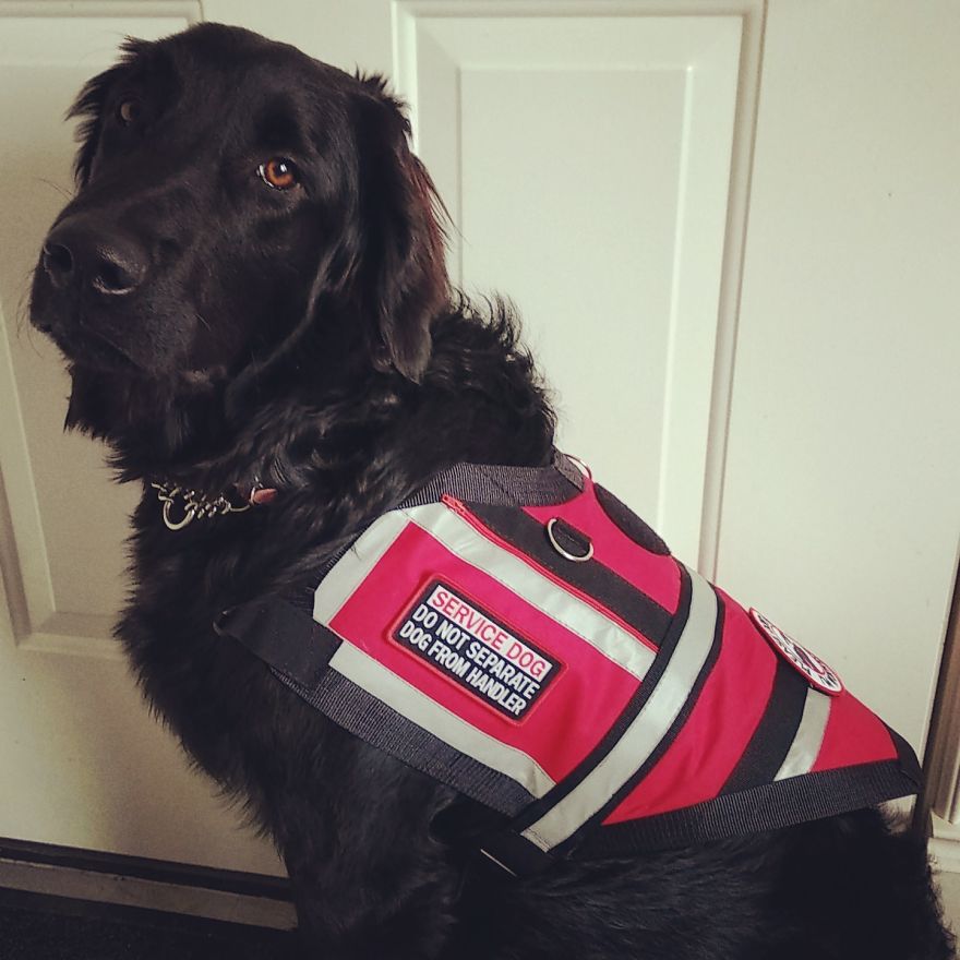 Respect The Vest Respect The Vest