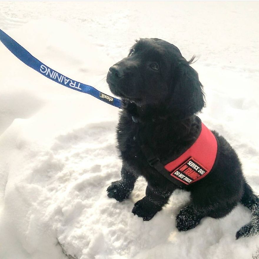 Respect The Vest Respect The Vest