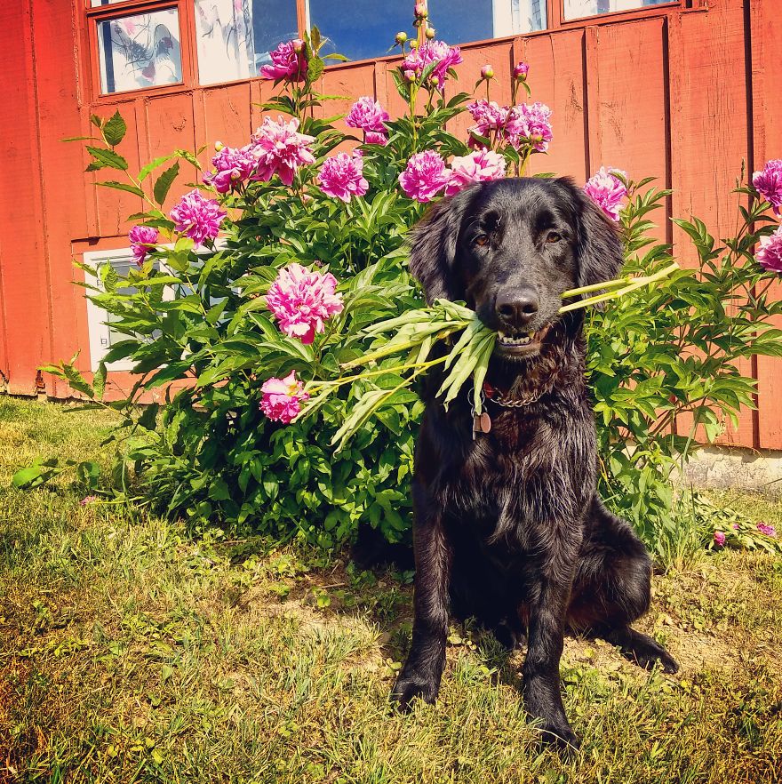 Respect The Vest Respect The Vest
