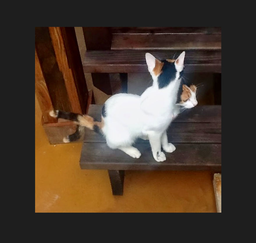 Persephone, At The Crossroads Of The Seasons.