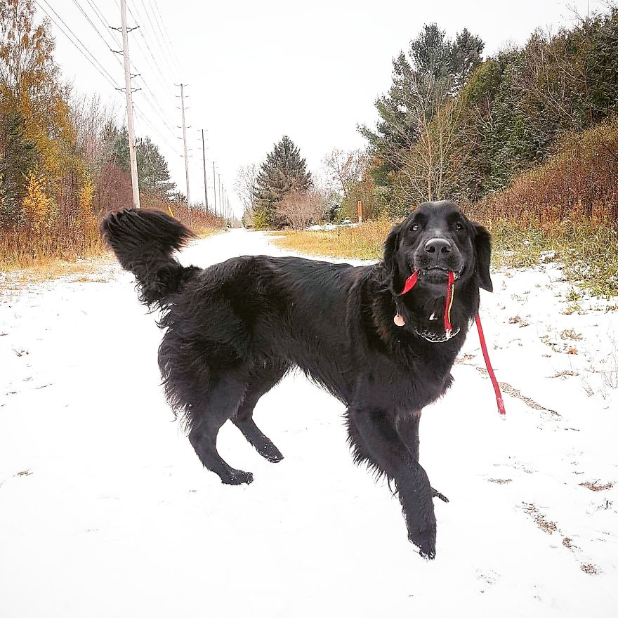 Respect The Vest Respect The Vest