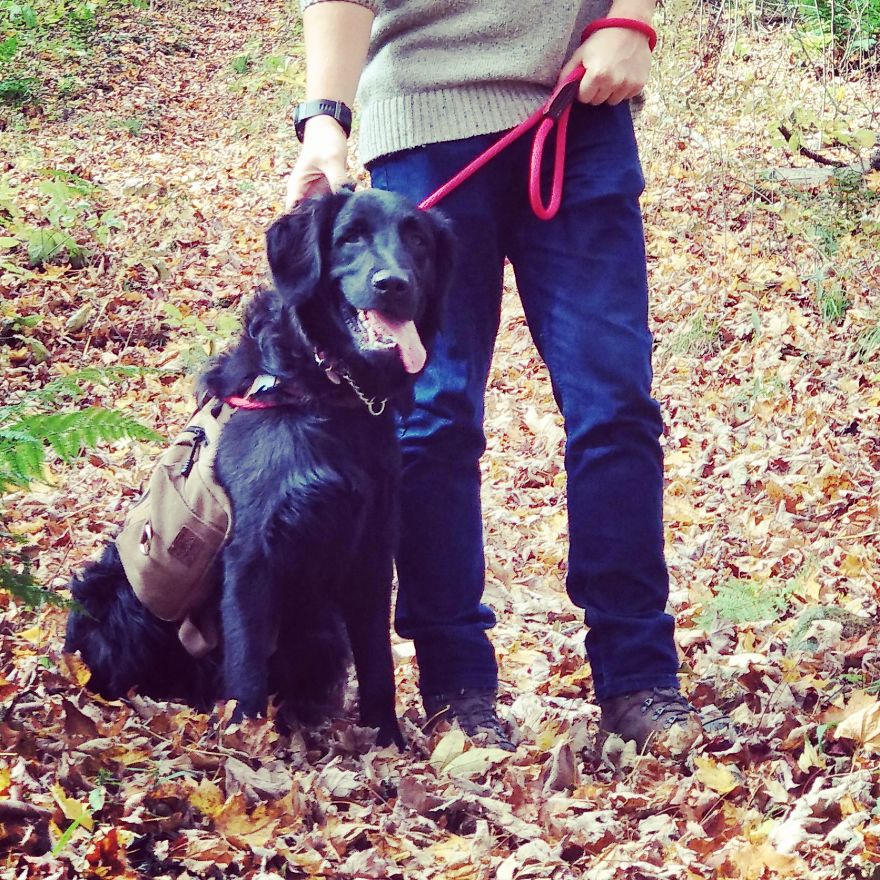 Respect The Vest Respect The Vest