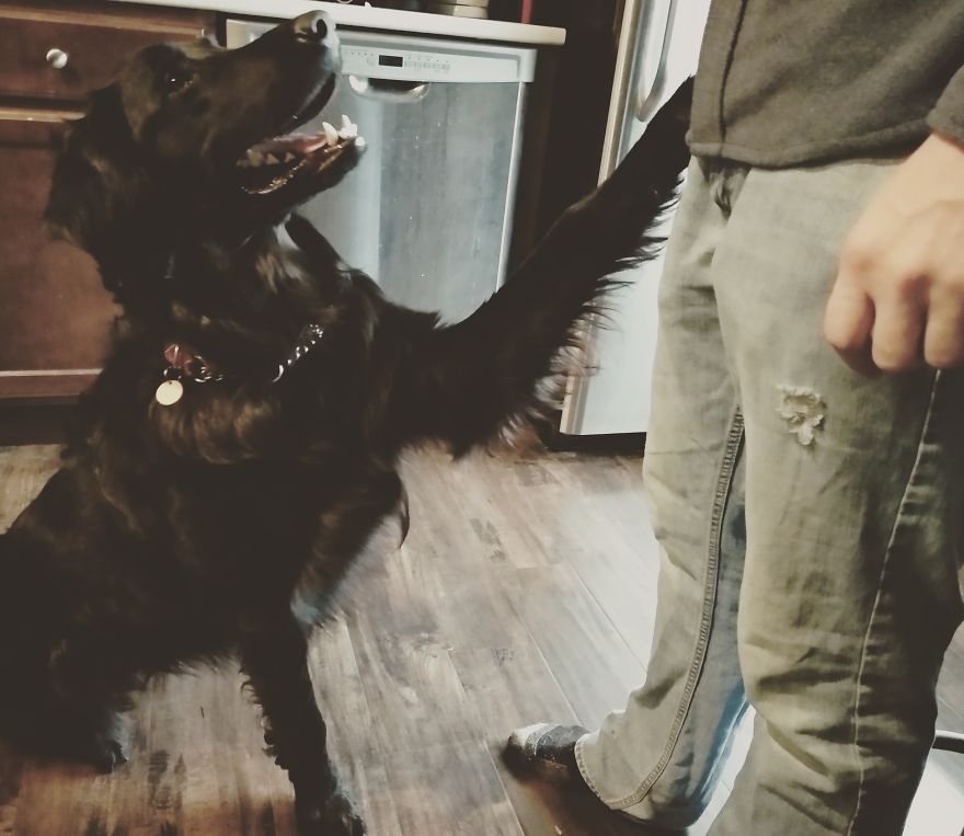 Respect The Vest Respect The Vest