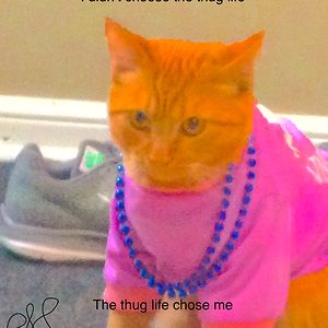 wiltse_charlotte avatar