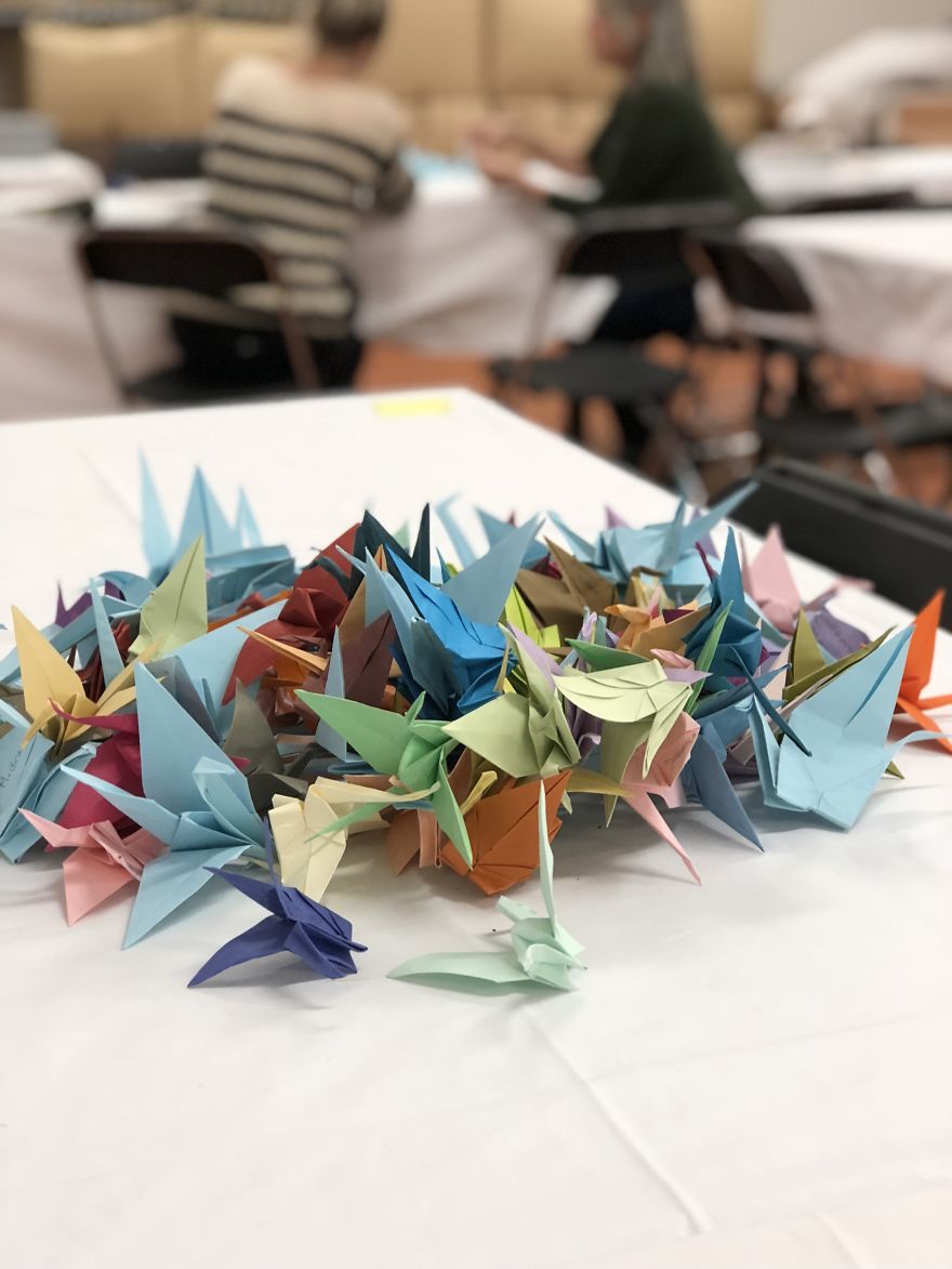 This Amsterdam Hospital Staff Folded 1.000 Paper Cranes To Help Patients Sleep This Amsterdam Hospital Staff Folded 1.000 Paper Cranes To Help Patients Sleep
