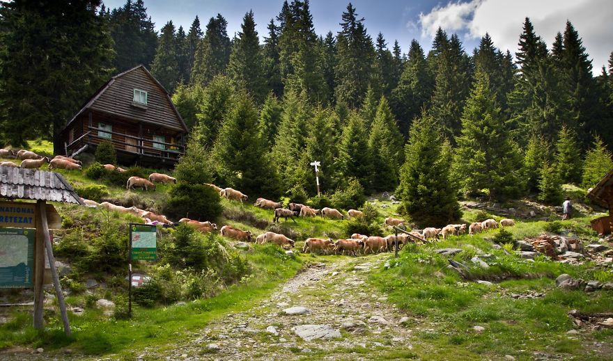 Transylvania Is Not Only The Birthplace Of Dracula