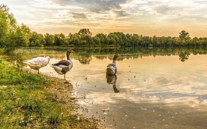 Wildlife Tourism In India Wildlife Tourism In India