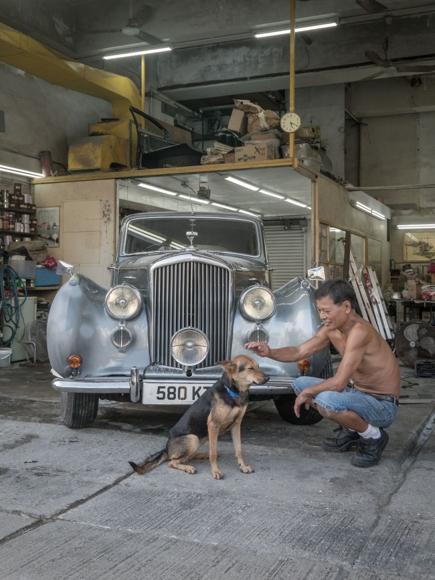Photographer Does A Brilliant Project On The Dogs Guarding The Auto Thieves Workshops In Hong Kong