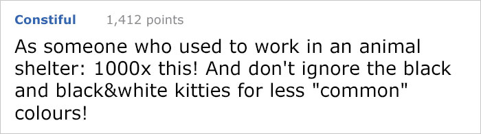 This Comic About 'Unadoptable' Cats Is Amazing This Comic About 'Unadoptable' Cats Is Amazing