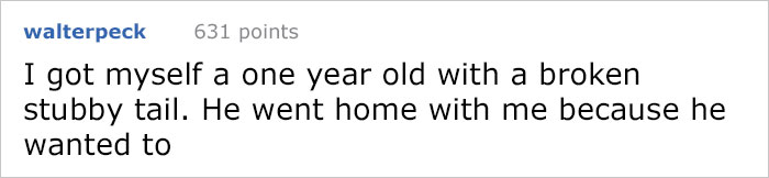 This Comic About 'Unadoptable' Cats Is Amazing