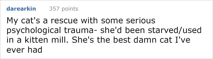 This Comic About 'Unadoptable' Cats Is Amazing This Comic About 'Unadoptable' Cats Is Amazing