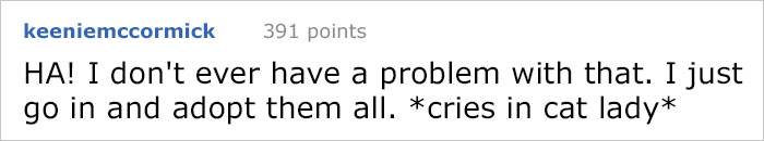 This Comic About 'Unadoptable' Cats Is Amazing