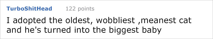 This Comic About 'Unadoptable' Cats Is Amazing