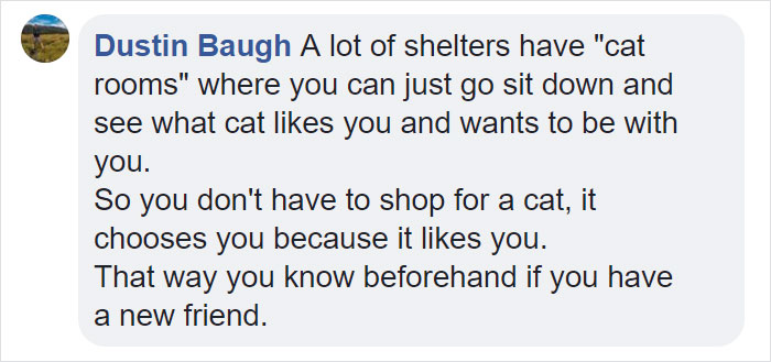 This Comic About 'Unadoptable' Cats Is Amazing