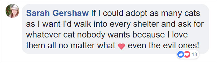 This Comic About 'Unadoptable' Cats Is Amazing