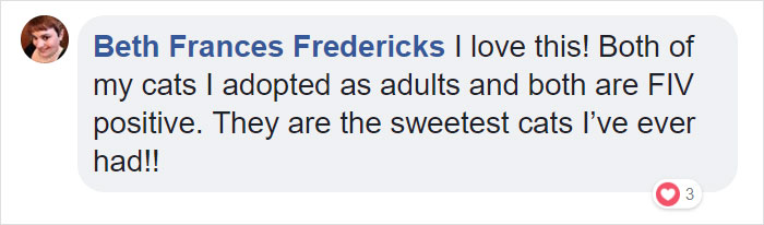 This Comic About 'Unadoptable' Cats Is Amazing This Comic About 'Unadoptable' Cats Is Amazing