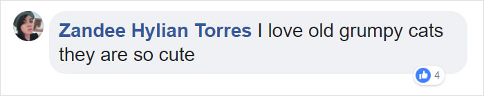 This Comic About 'Unadoptable' Cats Is Amazing This Comic About 'Unadoptable' Cats Is Amazing