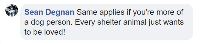 This Comic About 'Unadoptable' Cats Is Amazing This Comic About 'Unadoptable' Cats Is Amazing