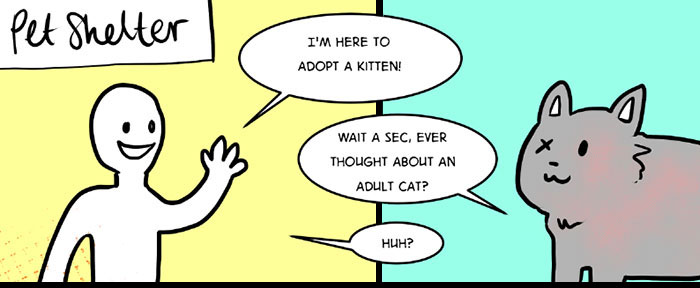 This Comic About 'Unadoptable' Cats Is Amazing