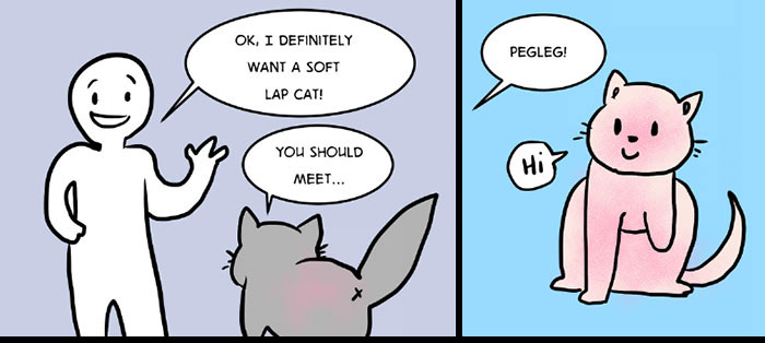 This Comic About 'Unadoptable' Cats Is Amazing This Comic About 'Unadoptable' Cats Is Amazing