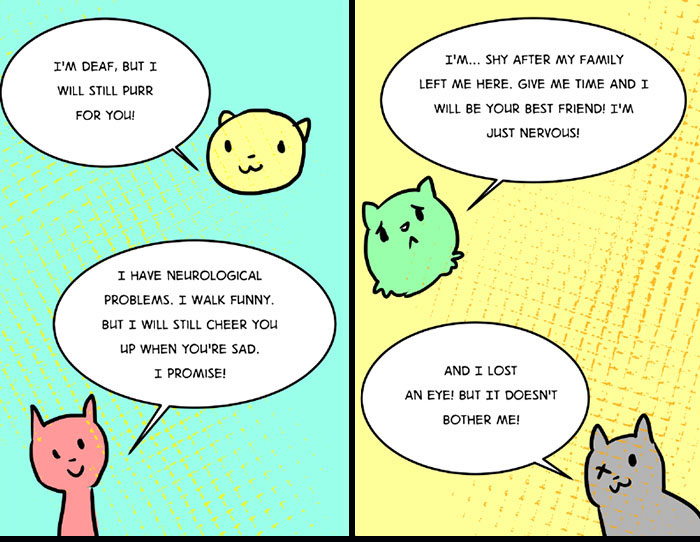This Comic About 'Unadoptable' Cats Is Amazing This Comic About 'Unadoptable' Cats Is Amazing