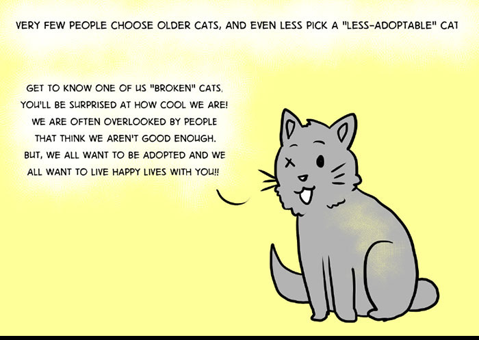 This Comic About 'Unadoptable' Cats Is Amazing This Comic About 'Unadoptable' Cats Is Amazing