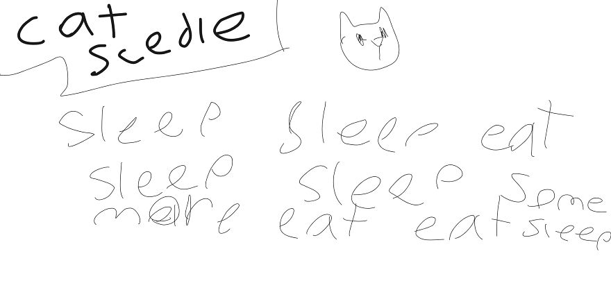 What Cats Do Most Of The Day.