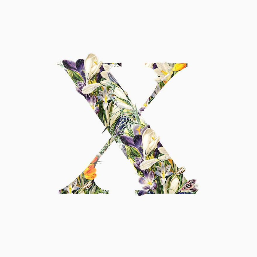 I Started Drawing Alphabet Letters To Overcome My Creative Struggles I Started Drawing Alphabet Letters To Overcome My Creative Struggles