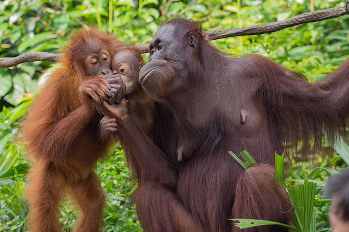 Iceland's New Christmas Ad Gets Banned For Being "Too Political" Iceland's New Christmas Ad Gets Banned For Being "Too Political"