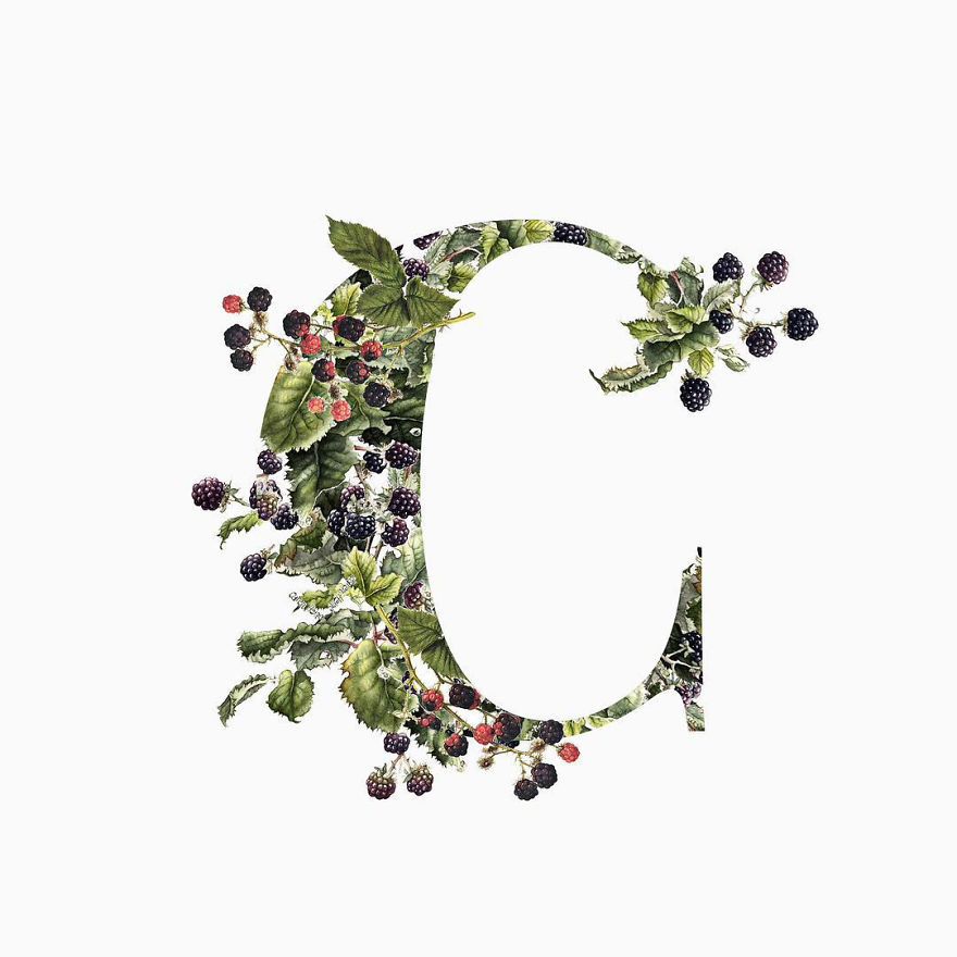 I Started Drawing Alphabet Letters To Overcome My Creative Struggles