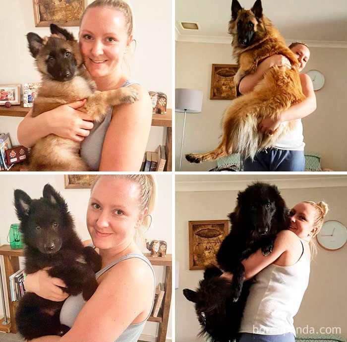 Well They Have Grown Just A Little