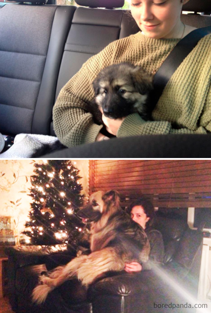 I Give You Two Years Later. Human For Scale