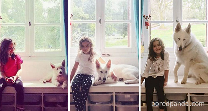 Almost A Year With Koda