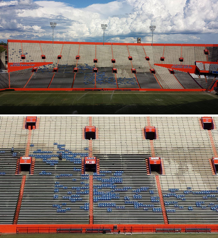 Power Washing The Swamp