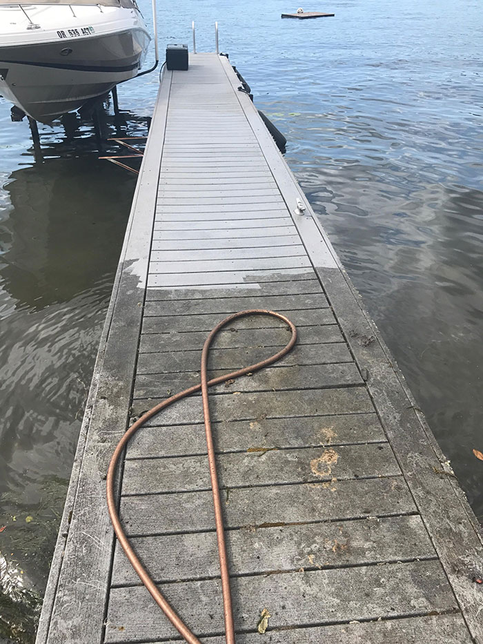 Wearing Shorts Was A Bad Idea