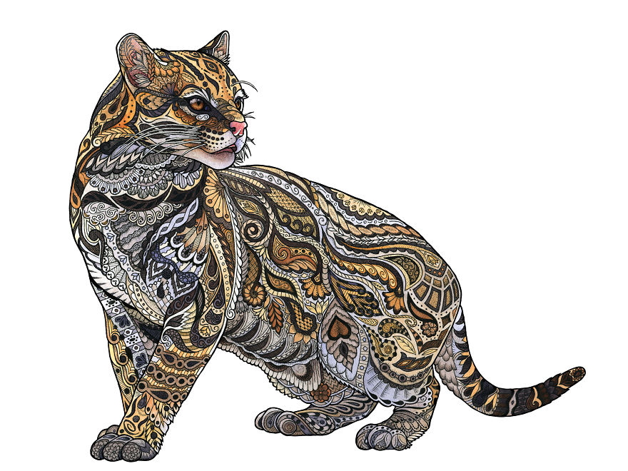 Ocelot