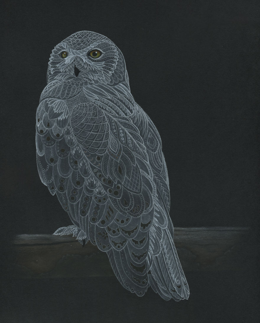 Snowy Owl