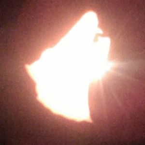 j-withnall-edwards17 avatar